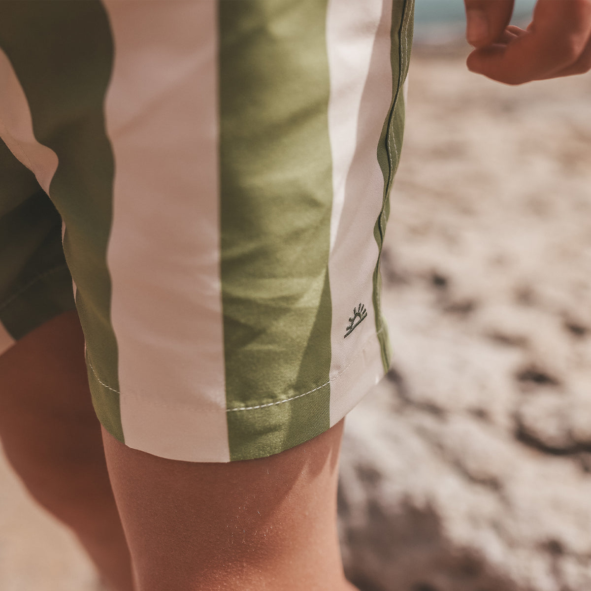Wide Stripe | Swim Shorts